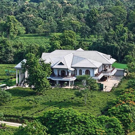 Vaani Greens Wildlife Resort, Kaziranga Kuthari Esterno foto